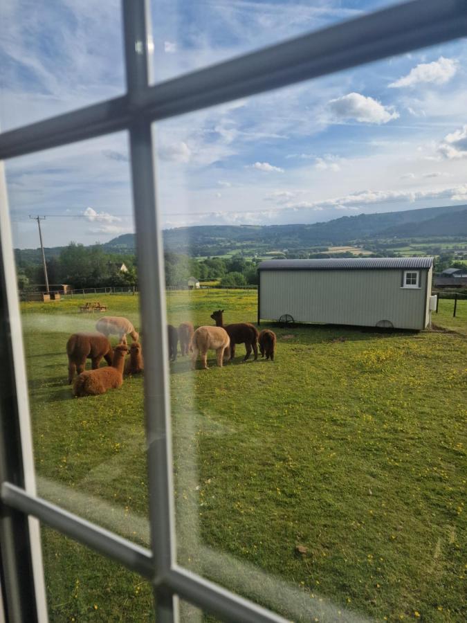 Cwtch Glamping Shepherds Huts Abergavenny Exteriér fotografie